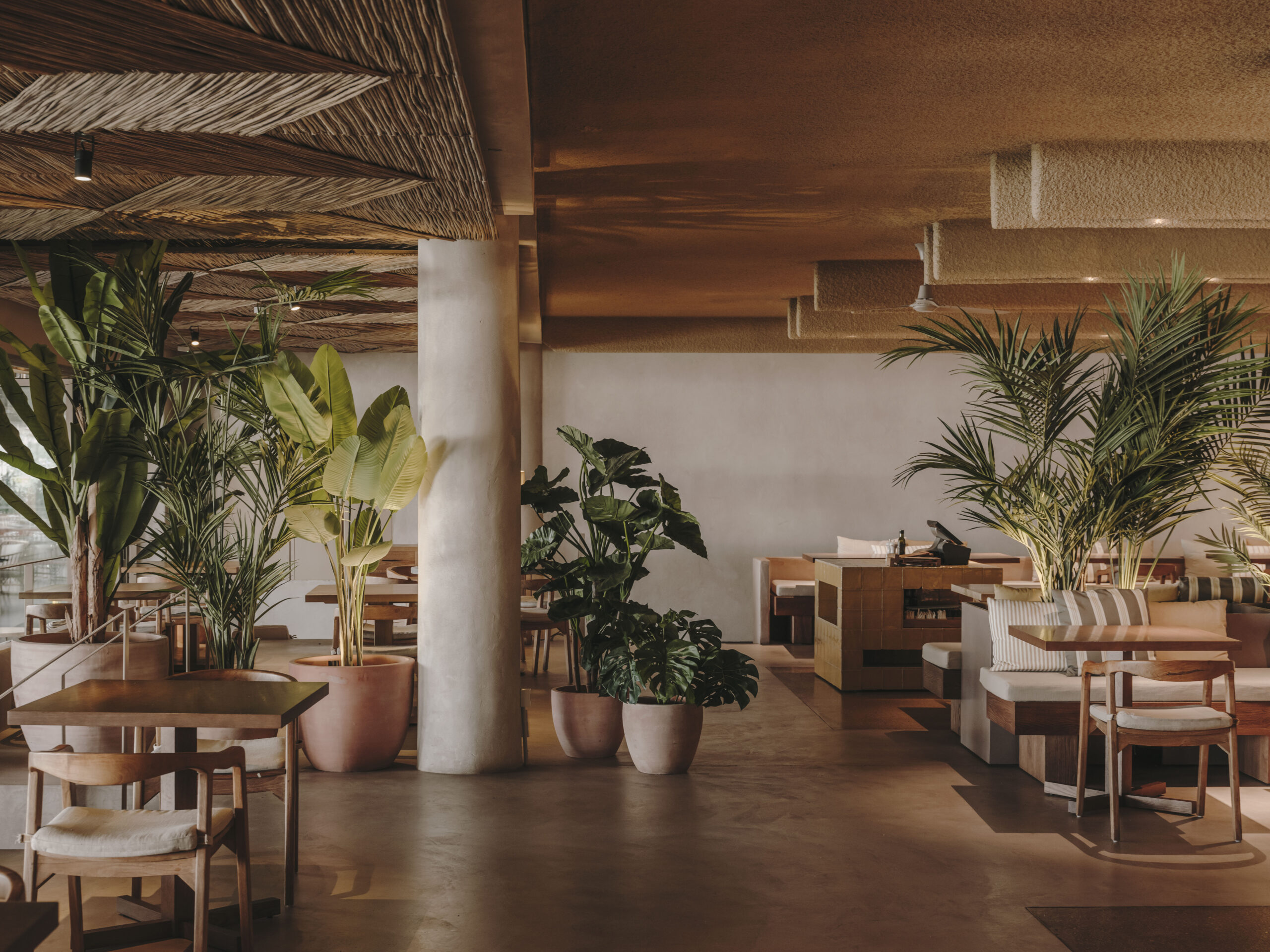 Restaurant - Europe SANDRA TARRUELLA Y ASOCIADOS,S.L. - SALT 3