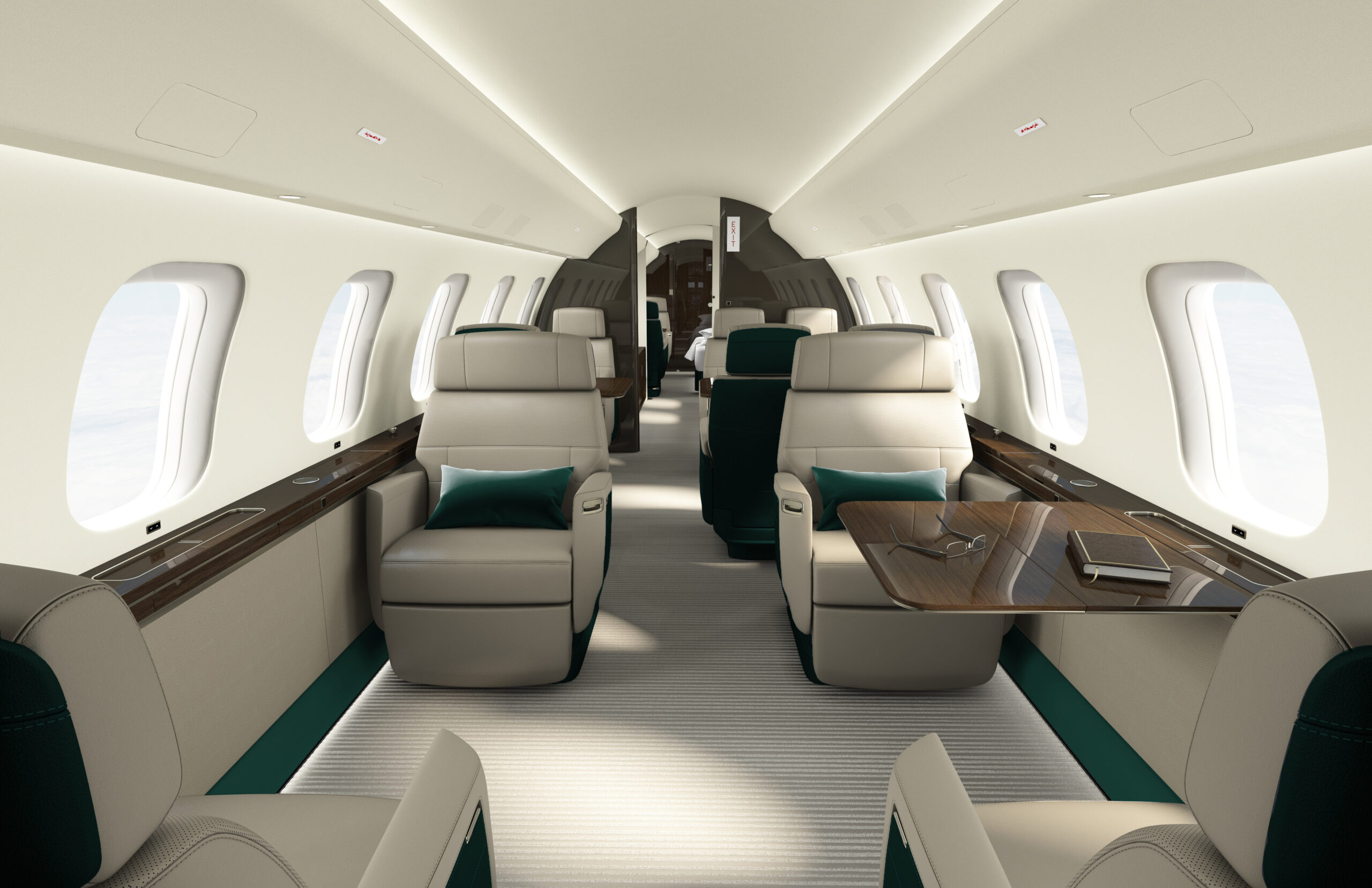 Sarah Larranaga Aviation Design