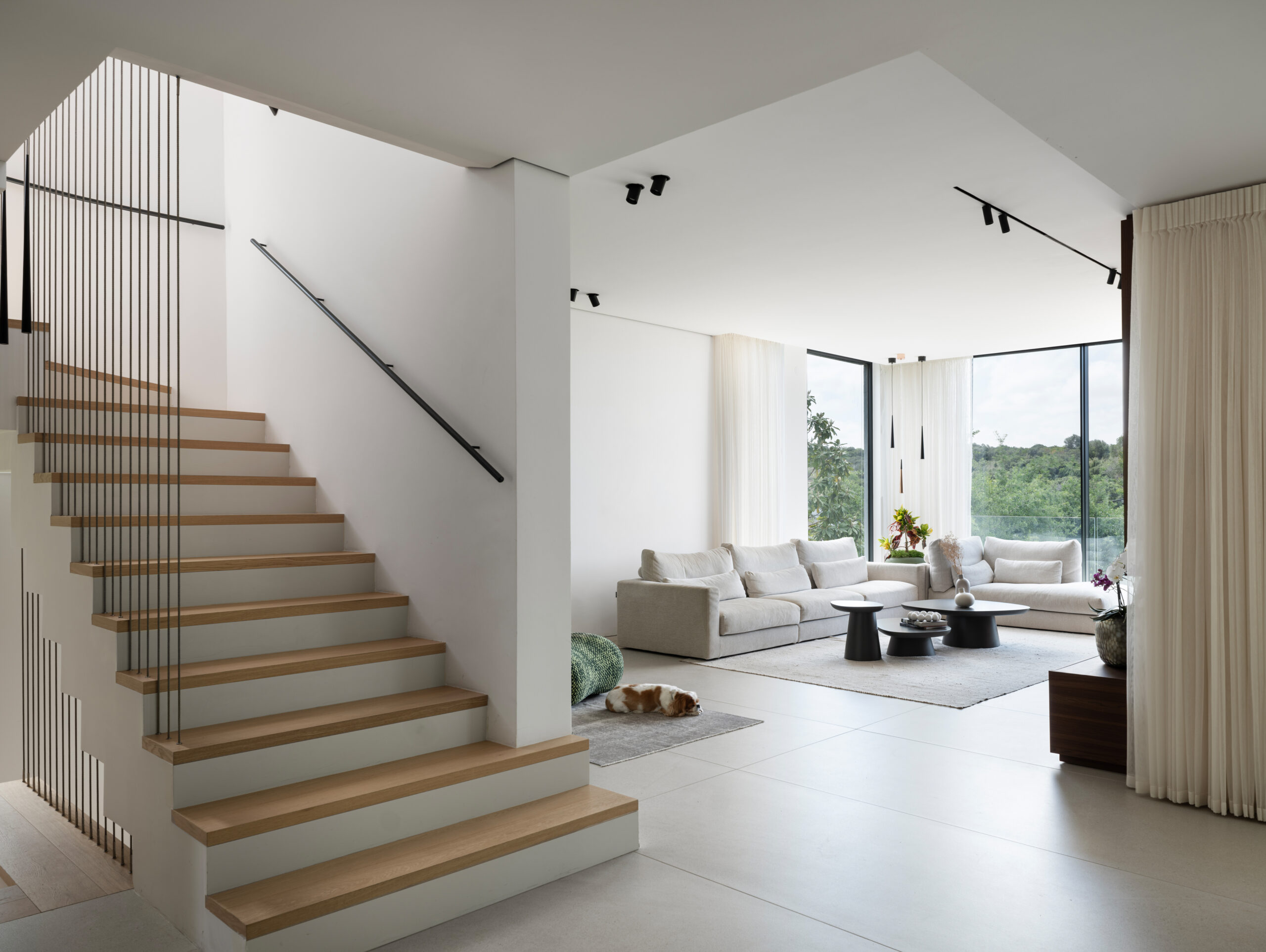 Residential Project Value £1-2.5m Iris Avneri Dvir Architecture and Interior Design The House in front of the Nature Reserve 4